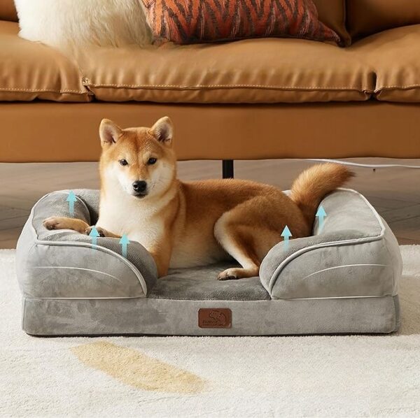 ff04721a4d5724e55e9460069e8f31d4