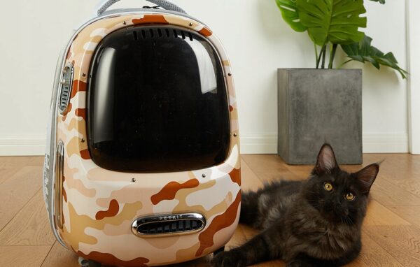 c5fb211572acb55de90babfed9b00a37