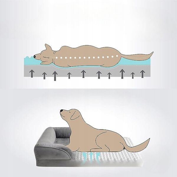 646da823604975f5beea8d2df01a247f