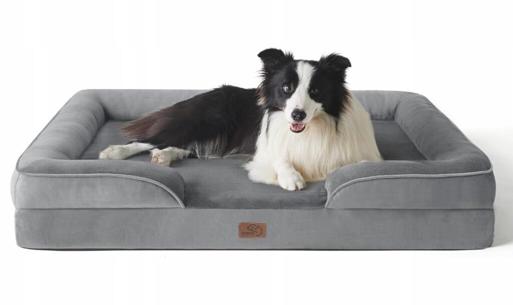 5861c44fe85201f2a1f2e12e9c401afe