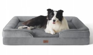 5861c44fe85201f2a1f2e12e9c401afe