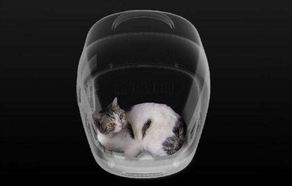 9094ef99e8331f753fdb3ad3d510c83d